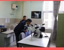 Lab Report 2002-2025